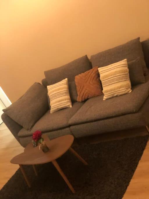 Superbe Appartement Tout Equipe, Le Nid D'Eva A Metz Gare, Parking Prive, Balcon, F2, 50M2, 3P 외부 사진